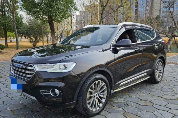 哈弗 H6 蓝标 2.0T 自动两驱智尚型