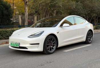 特斯拉 Model 3 2020款 长续航后轮驱动版