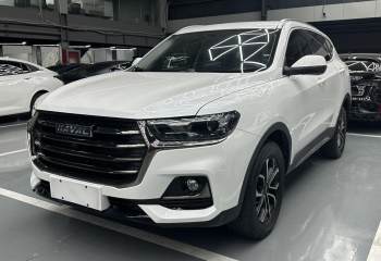 哈弗 H6 2021款 国潮版 1.5T 自动都市版