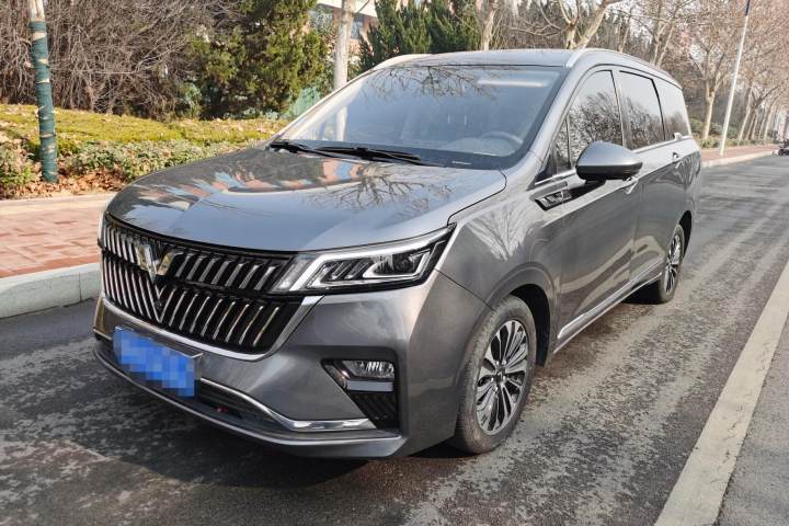 五菱汽车 五菱佳辰 1.5T CVT尊享旗舰型