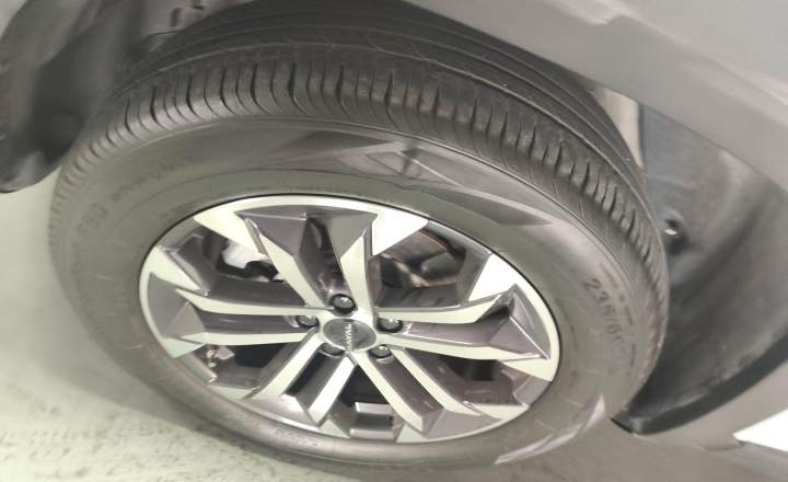 哈弗 大狗 2024款 1.5T DCT边牧版