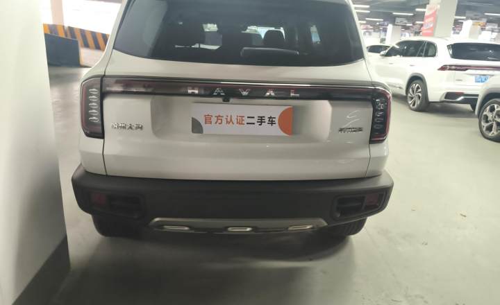 哈弗 大狗 2024款 1.5T DCT边牧版