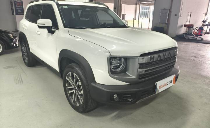 哈弗 大狗 2024款 1.5T DCT边牧版