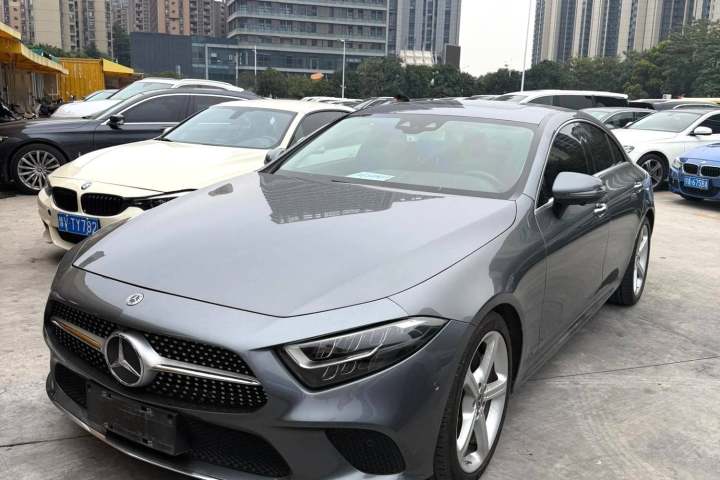 奔驰 CLS CLS 300 动感型