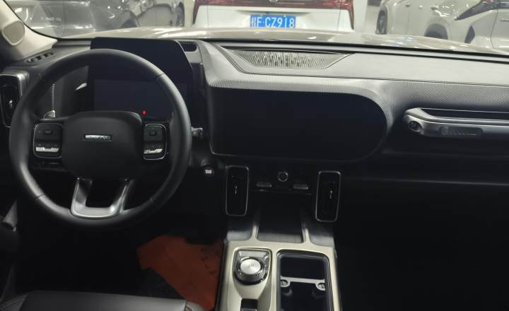 哈弗 大狗 2024款 1.5T DCT边牧版