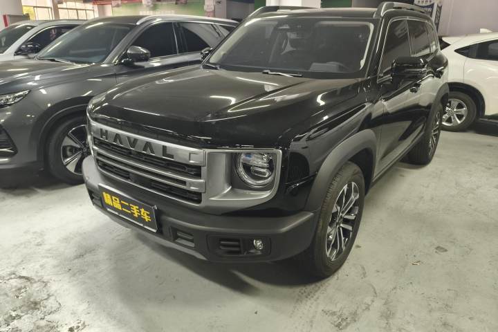哈弗 大狗 2024款 1.5T DCT边牧版
