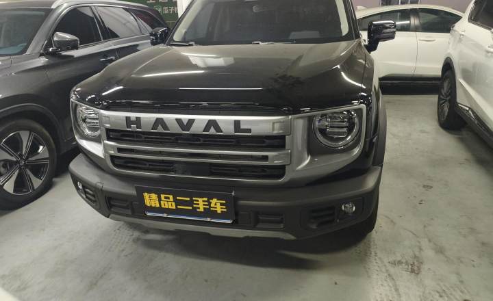 哈弗 大狗 2024款 1.5T DCT边牧版