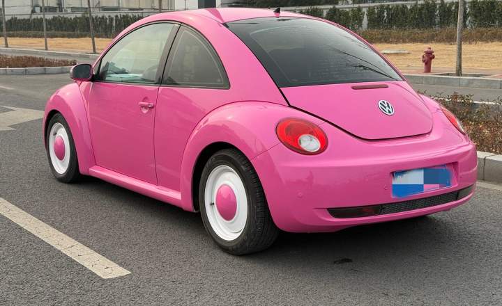 大众 甲壳虫 2010款 1.6 AT