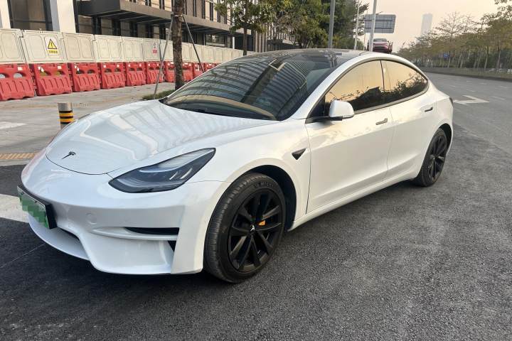 特斯拉 Model 3(进口) 2019款 标准续航后驱升级版