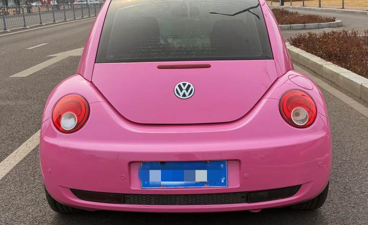 大众 甲壳虫 2010款 1.6 AT