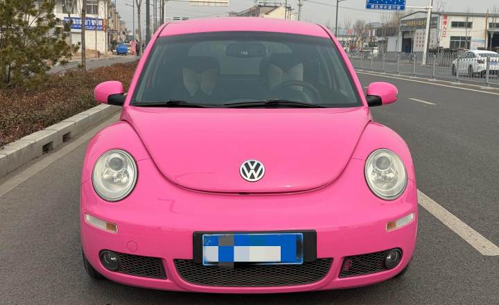 大众 甲壳虫 2010款 1.6 AT