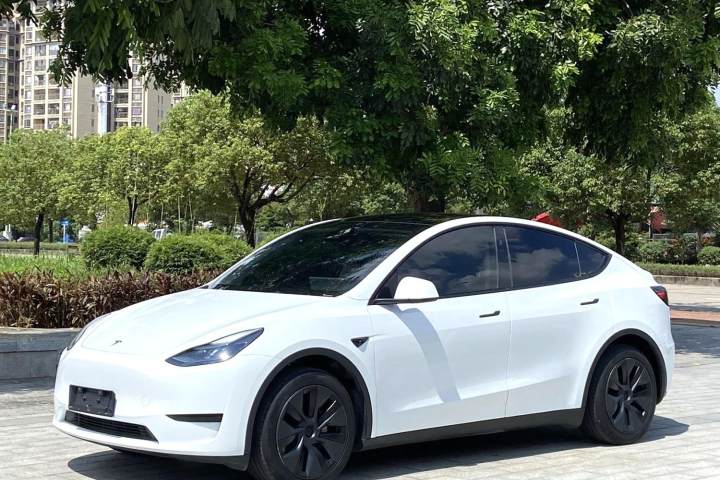 特斯拉 Model Y 后轮驱动版