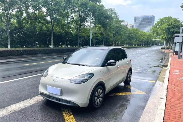 五菱汽车 五菱缤果 2024款 333km 灵犀互联款