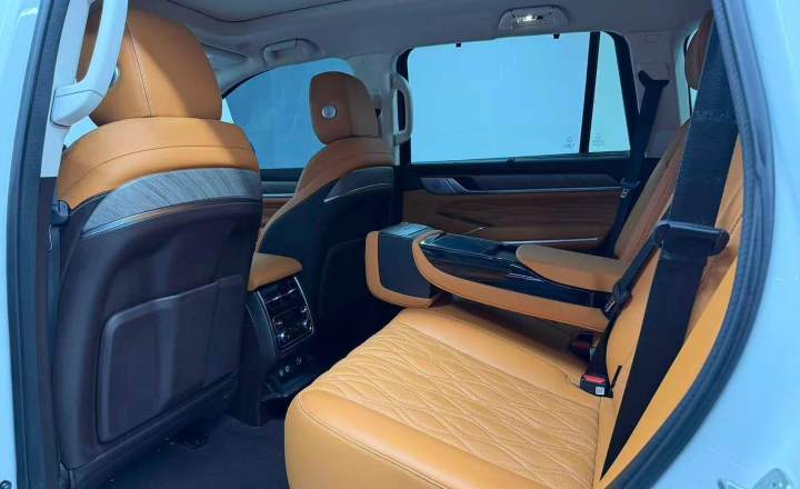 坦克 500新能源 2024款 Hi4T