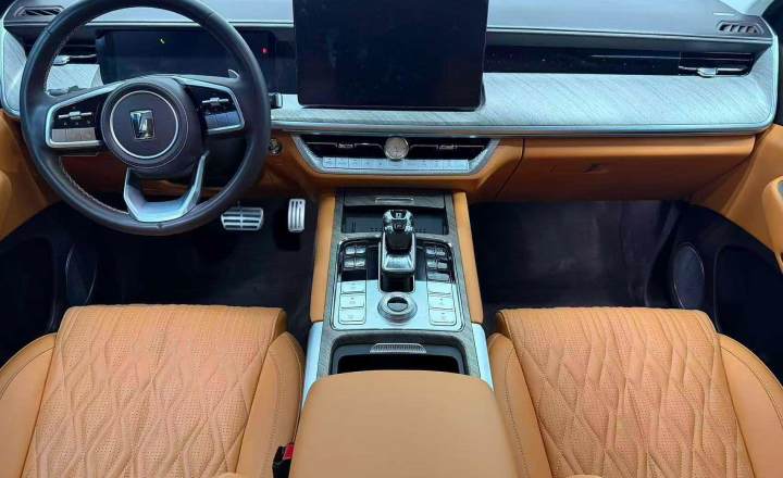 坦克 500新能源 2024款 Hi4T