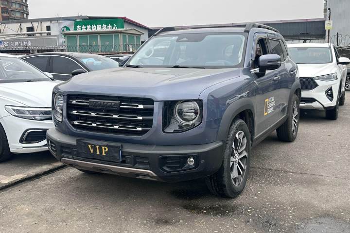 哈弗 大狗 1.5T DCT两驱边牧版