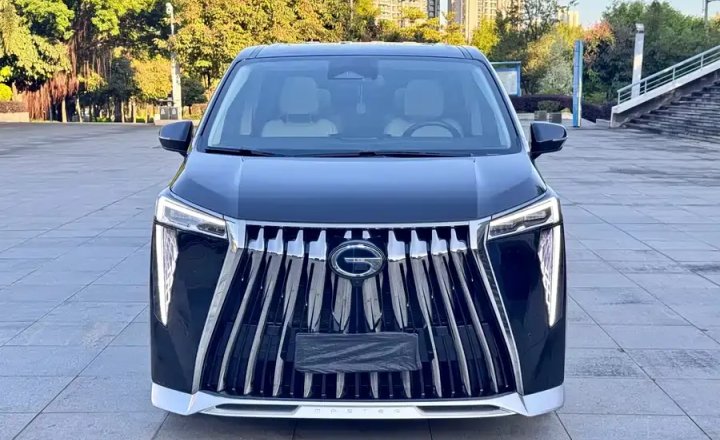 广汽传祺 传祺E9 2023款 E9 冠军版