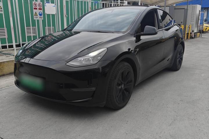 特斯拉 Model Y 2021款 标准续航后驱版