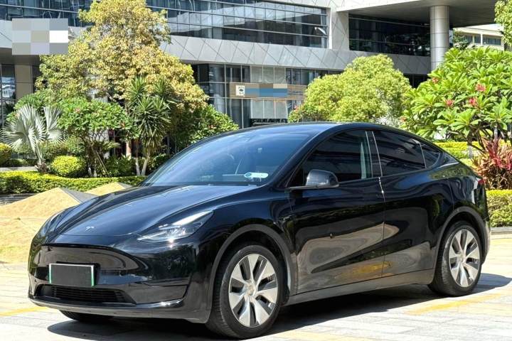 特斯拉 Model Y 后轮驱动版