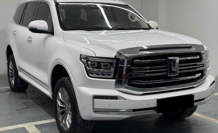 坦克 500新能源 2024款 Hi4T