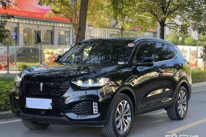 魏牌  VV6 2.0T 两驱超豪型 国V