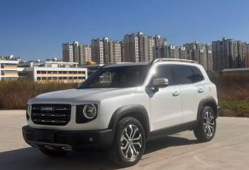 哈弗 大狗 2022款 1.5T DCT两驱边牧版