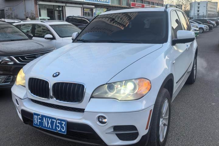 宝马 X5(进口) xDrive35i 领先型