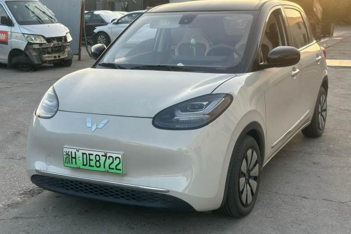五菱汽车 五菱缤果 203km 舒享款