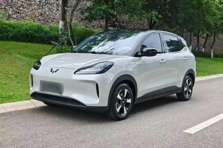 五菱汽车 五菱缤果PLUS 330km 五座版