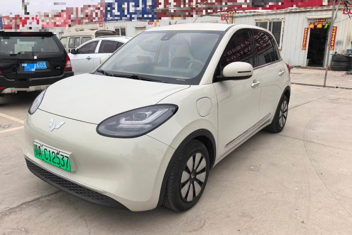 五菱汽车 五菱缤果 333km 悦享+款
