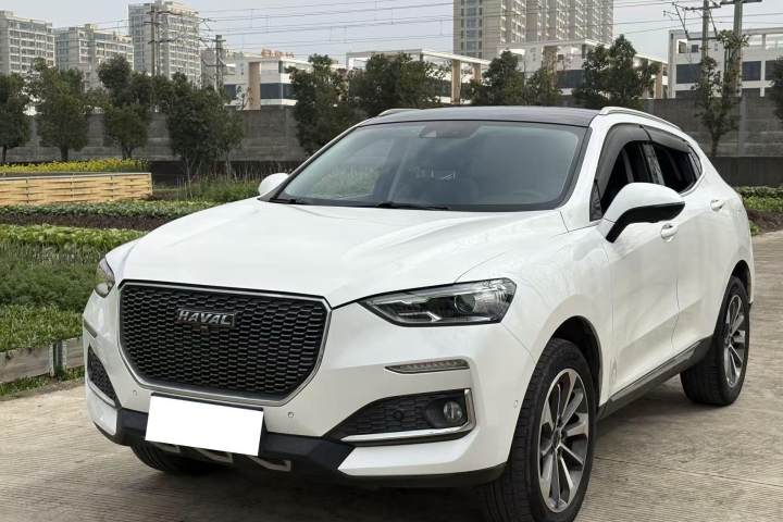 哈弗 F5 国潮版 1.5T i范 国VI