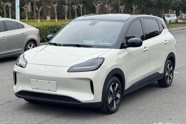 五菱汽车 五菱缤果PLUS 510km 五座版