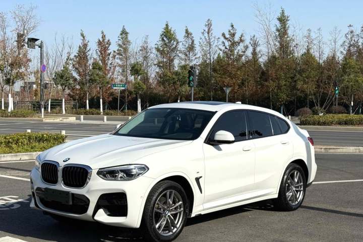 宝马 X4 2021款 xDrive 25i M运动曜夜套装