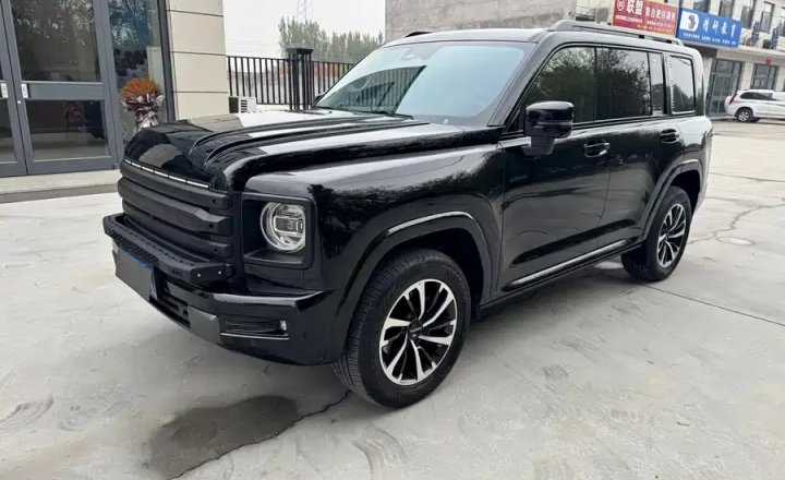 哈弗 H9 2024款 2.0T 汽油四驱极境版