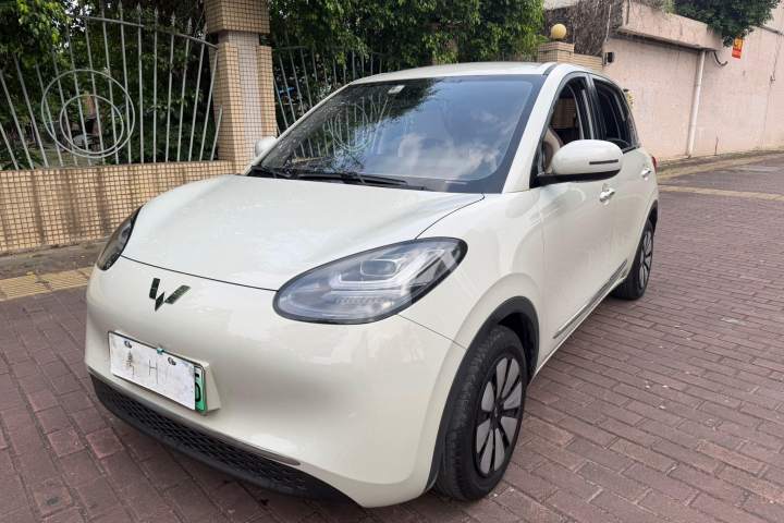 五菱汽车 五菱缤果 203km 舒享款