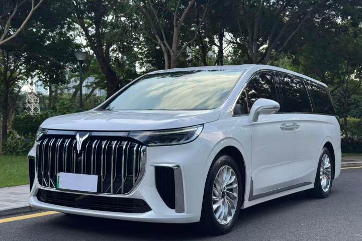 岚图汽车 岚图梦想家 PHEV 超长续航尊贵版
