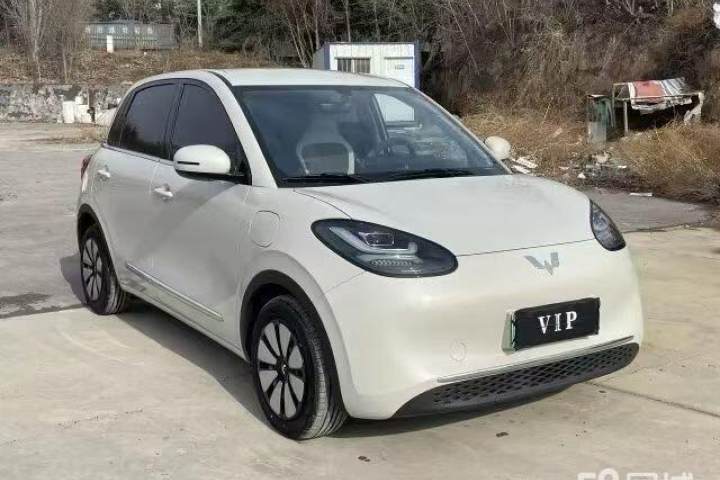 五菱汽车 五菱缤果 333km 悦享款