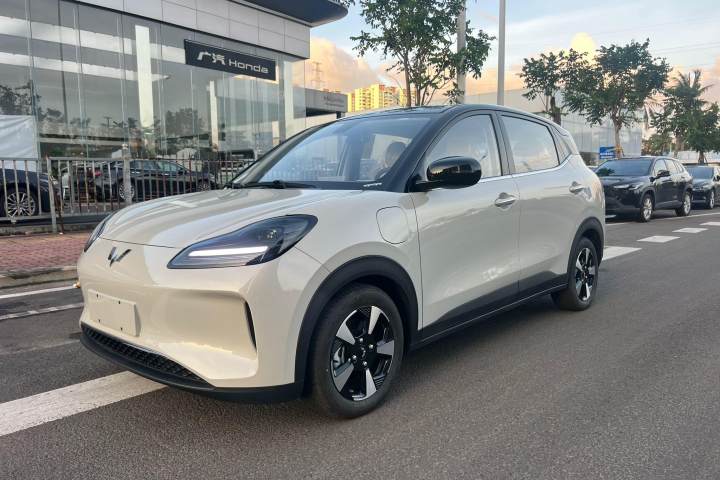 五菱汽车 五菱缤果PLUS 330km 五座版