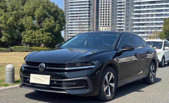大众 迈腾 2024款 300TSI DSG尊享版显眼包
