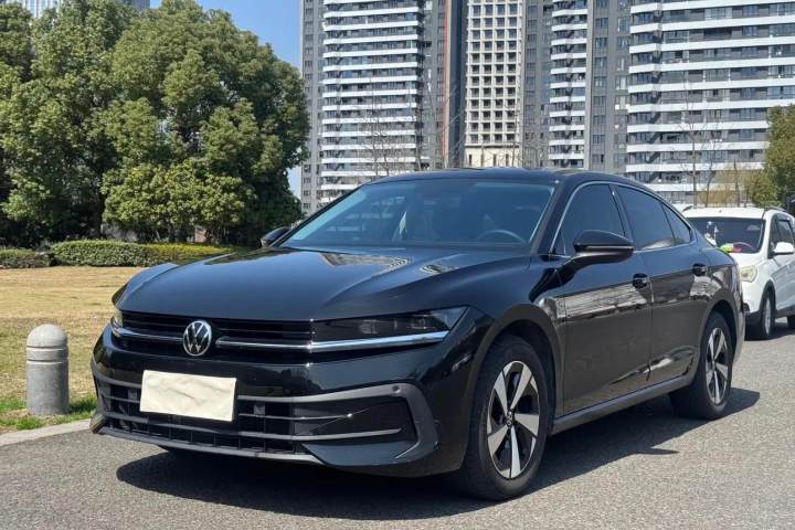 大众 迈腾 300TSI DSG尊享版显眼包