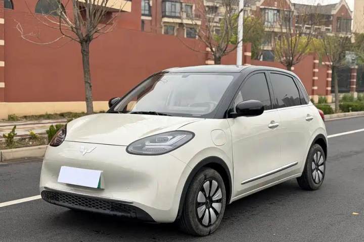 五菱汽车 五菱缤果 410km 灵犀尊享款