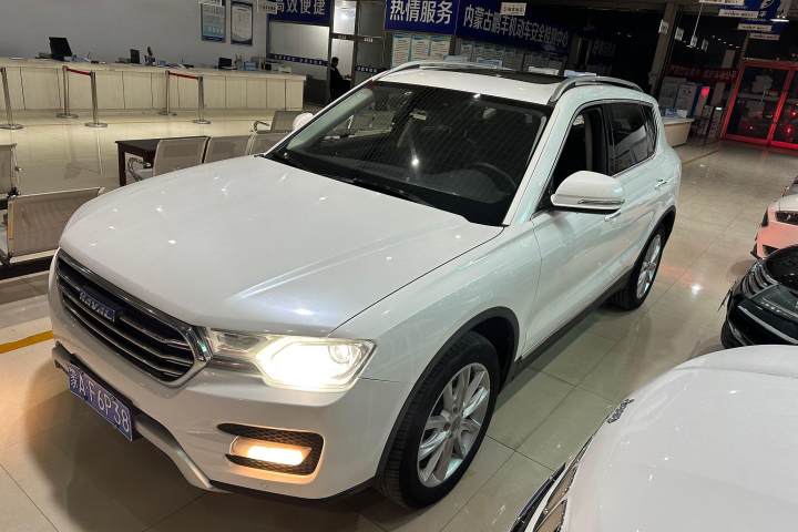 哈弗 H7 蓝标H7 2.0T 自动豪华型