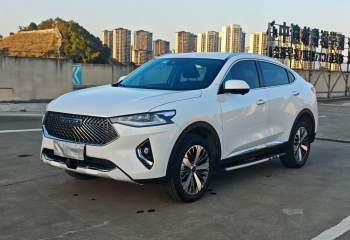 哈弗 F7x 2019款 1.5T 两驱极智潮玩版