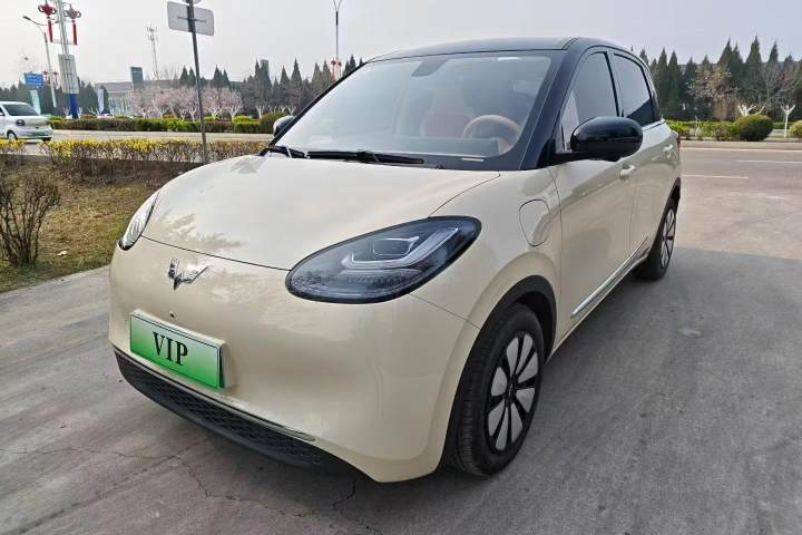 五菱汽车 五菱缤果 333km 灵犀尊享款