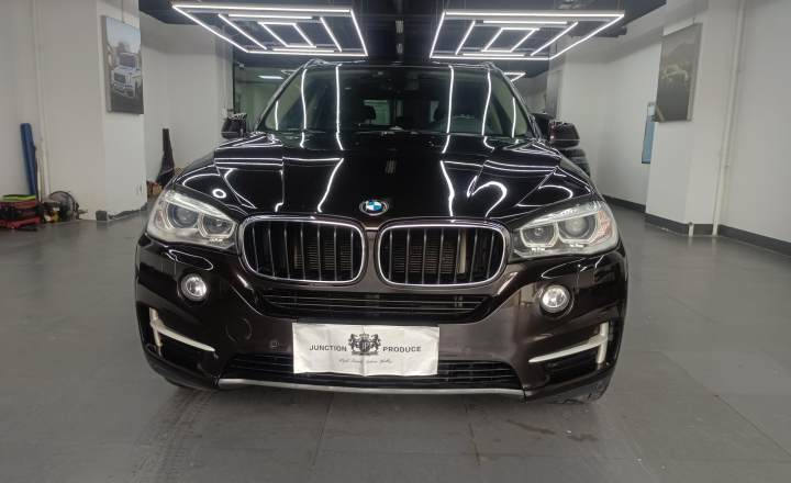 宝马 X5(进口) 2014款 xDrive35i 领先型