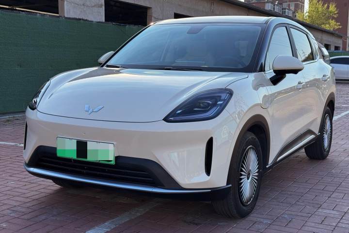 五菱汽车 缤果S 325km 尊享款