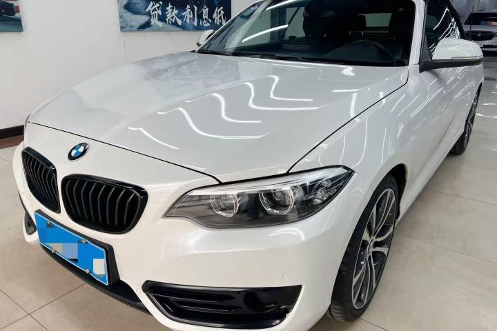 宝马 2系(进口) 225i 敞篷轿跑车 运动设计套装