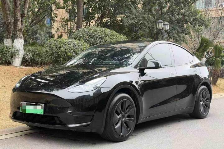 特斯拉 Model Y 2024款 后轮驱动版