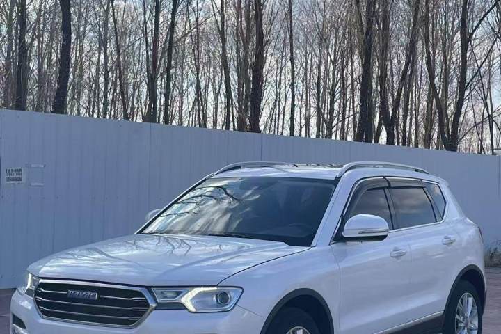 哈弗 H7 蓝标H7 2.0T 自动豪华型
