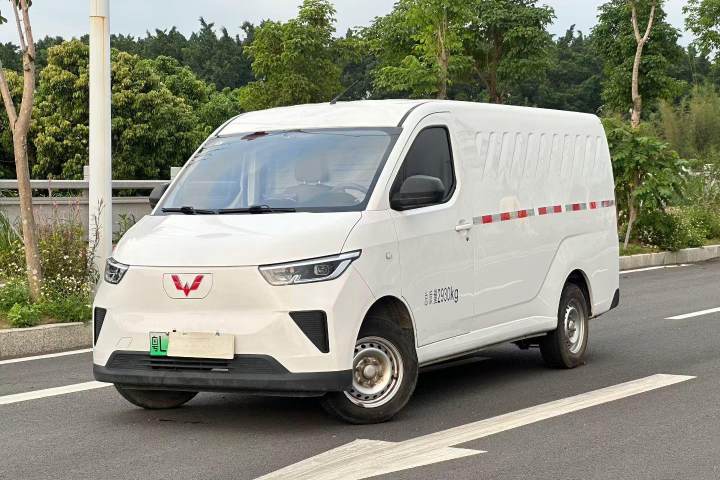 五菱汽车 五菱扬光 300km 舒适型封窗版 60kW